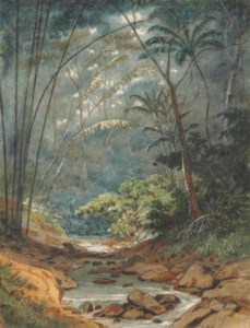 Macaras Valley, Trinidad
