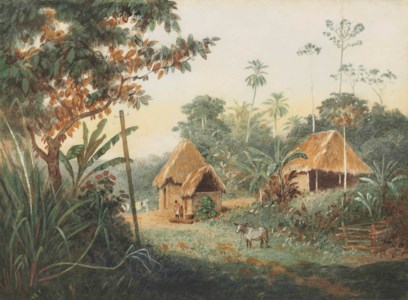 Thatched huts on a cocoa estate, Trinidad
