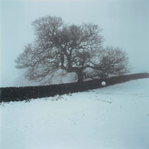 Oaktree Snowball, 1994