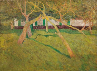 Orchard