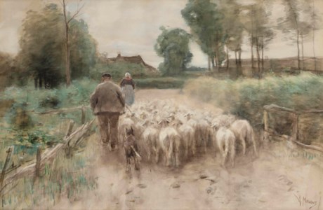 Bringing home the flock