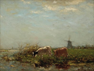 Cows near the waterfront