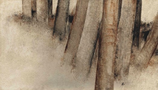 Untitled (from the Trees series)