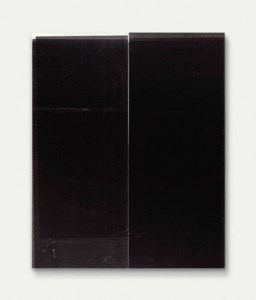 Wade Guyton, Untitled