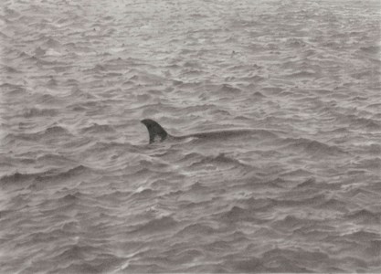 Sea Drawing with Whale