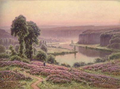 Brume du matin, Bruyères en fleurs