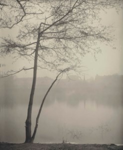From Strelecky Island, 1957