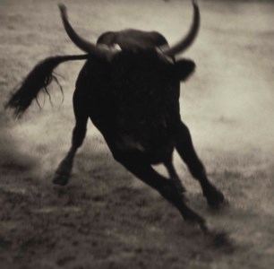 Arles, France, 1990