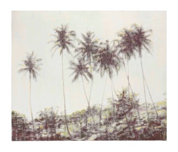 Palms