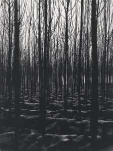 Untitled, c. 1960