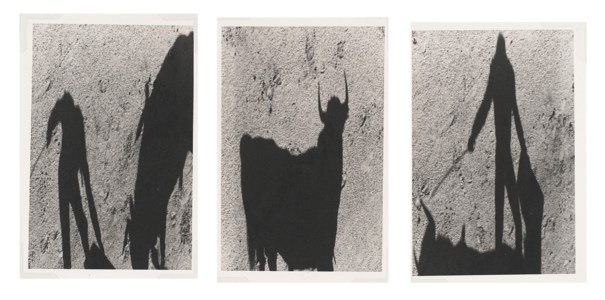 Tryptique des ombres, 1989