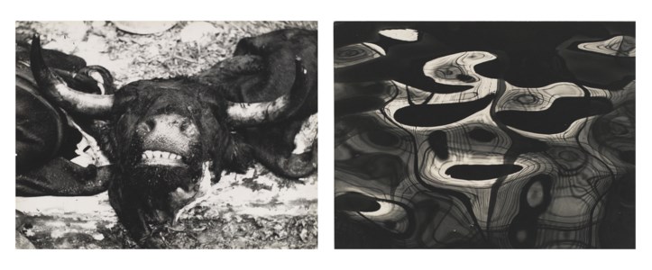 Le Toro & La Fontaine, 1963