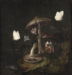 A 'sotto bosco' with mushrooms, butterflies, a dragonfly, a snake and a lizard