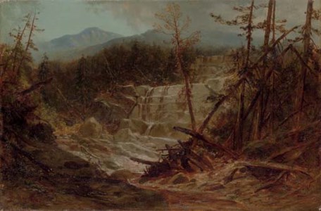 Stream in the Adirondacks