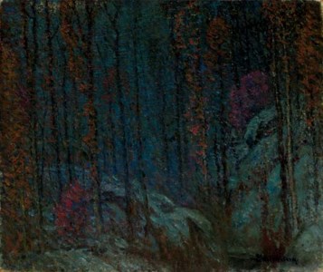 Dark Mood in the Woods