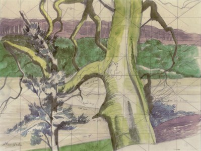 Winter trees