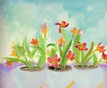 Sky and Tulips