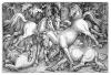 Group of Seven Wild Horses
