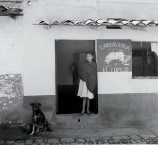 Dog Number Twenty, 1958