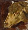 Head of a Sheep