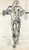 Standing Nude