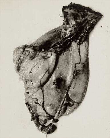 'Negative #77'
