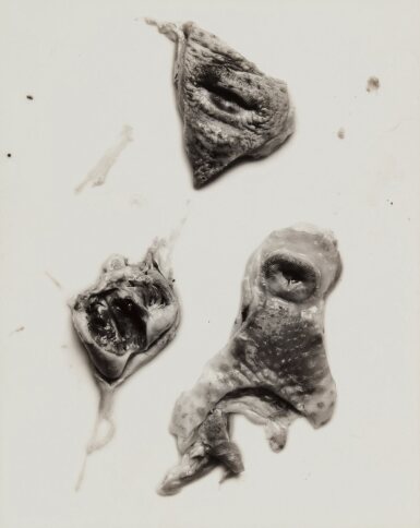 'Negative #91'
