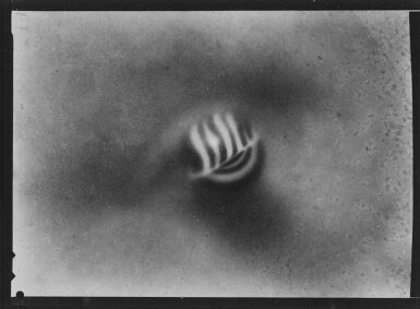 Still Life with Shell