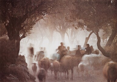 Cretan Landscape