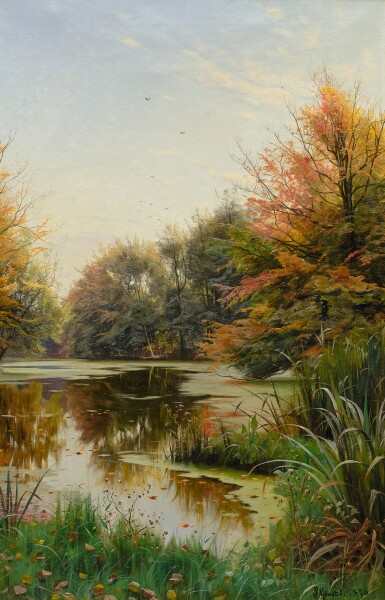 Wooded Landscape