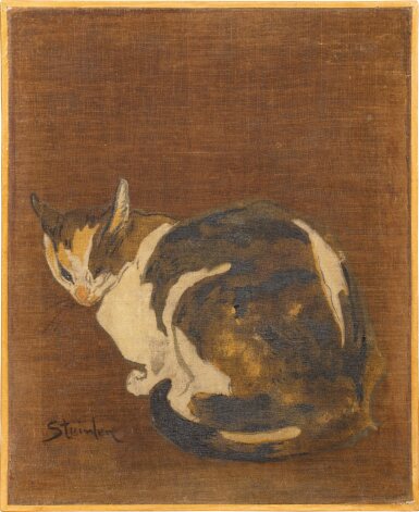 Cat | Chat