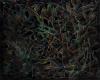 Untitled (Abstraction in Black)