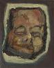 Mask of a Life