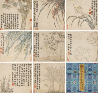 Plants