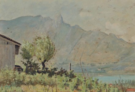 House with a Mountain View