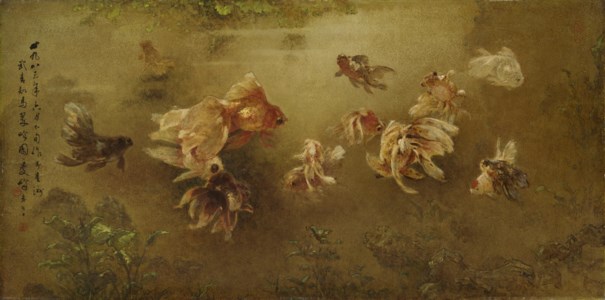 Goldfish