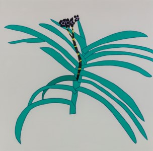 Jonas Wood, Clipping H2