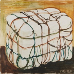 Zhang Enli, Parcel (1)