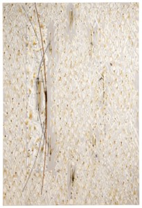 Natsuyuki Nakanishi, Arc · Ellipse IV