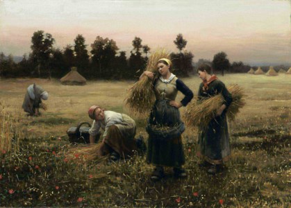 The Harvesters