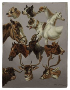 Animal Studies