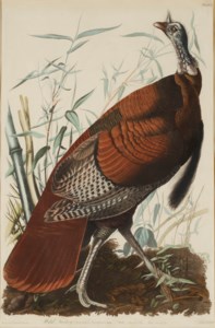 John James Audubon, 1827