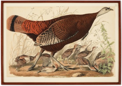 John James Audubon, 1829