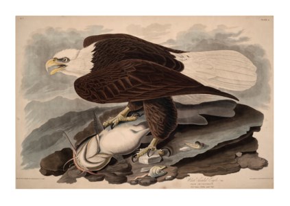John James Audubon, 1828