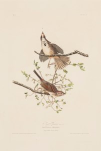 John James Audubon, 1828