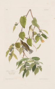 John James Audubon, 1830