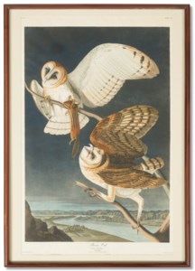 John James Audubon, 1833