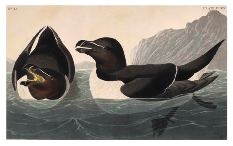 John James Audubon