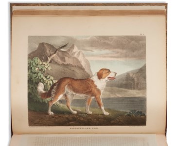 The Cabinet of Natural History and American Rural Sports with Illustrations