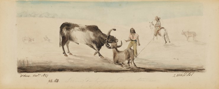[Louis-Jules Masselot], 1837